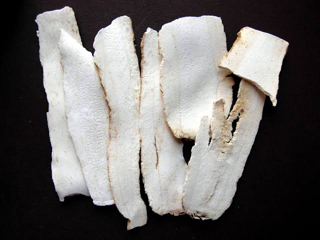 Bạch chỉ phiến
