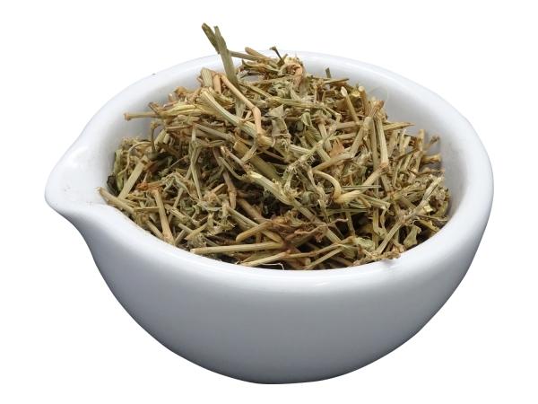 Biển súc