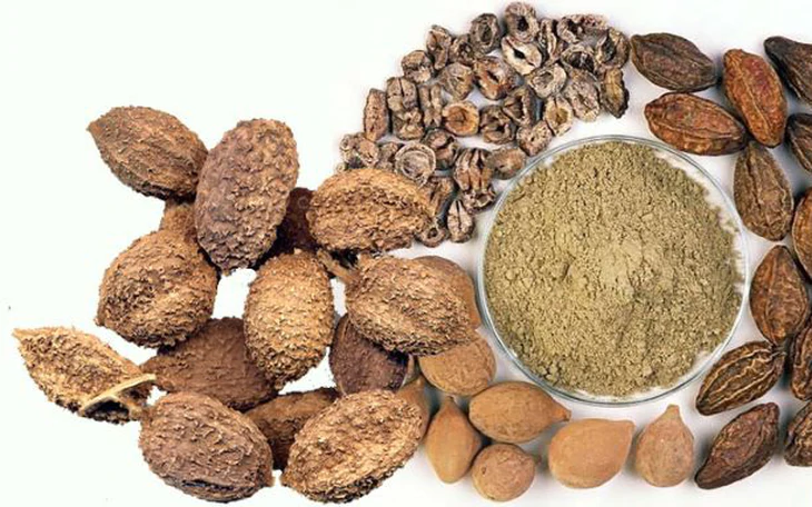 Đại Thừa Khí Thang
